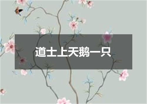 道士上天鹅一只