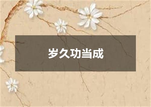 岁久功当成