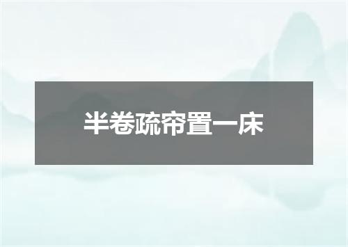 半卷疏帘置一床