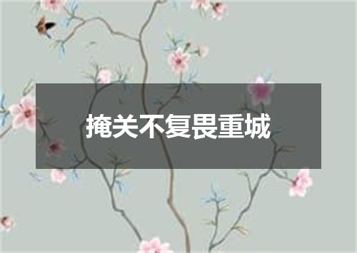 掩关不复畏重城