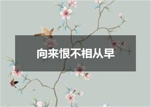 向来恨不相从早