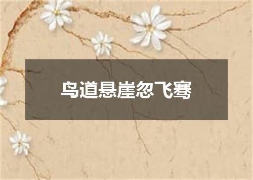 鸟道悬崖忽飞骞