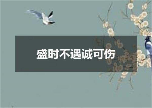 盛时不遇诚可伤