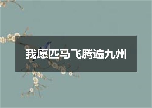 我愿匹马飞腾遍九州