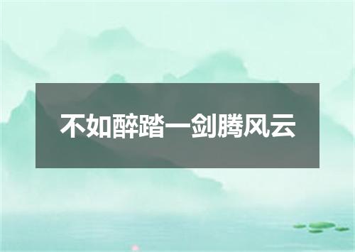 不如醉踏一剑腾风云