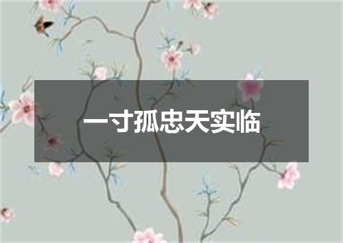 一寸孤忠天实临
