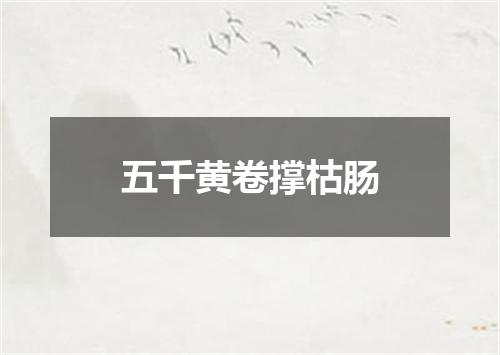 五千黄卷撑枯肠
