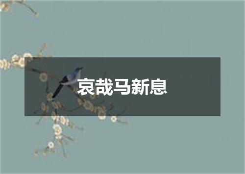 哀哉马新息
