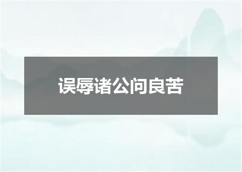 误辱诸公问良苦