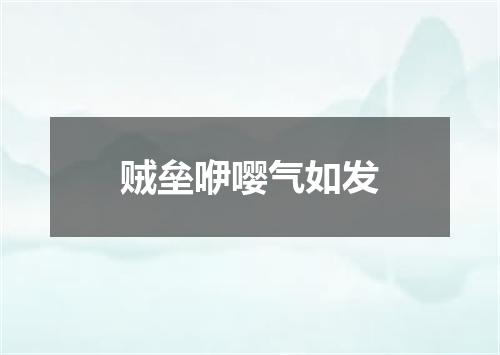 贼垒咿嘤气如发