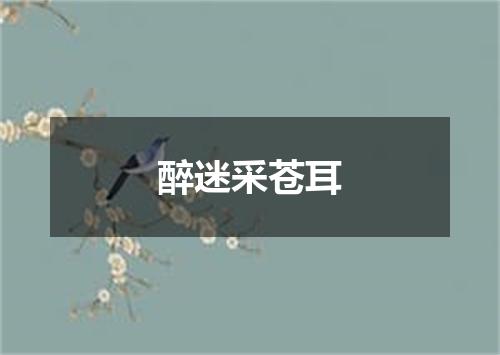 醉迷采苍耳