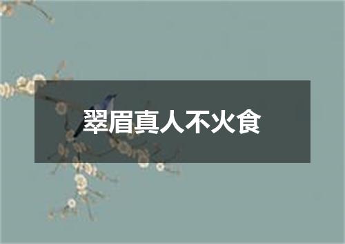 翠眉真人不火食