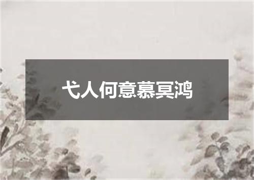 弋人何意慕冥鸿