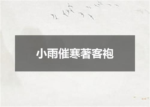 小雨催寒著客袍