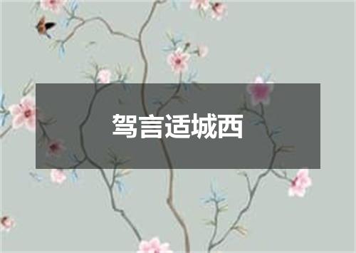 驾言适城西