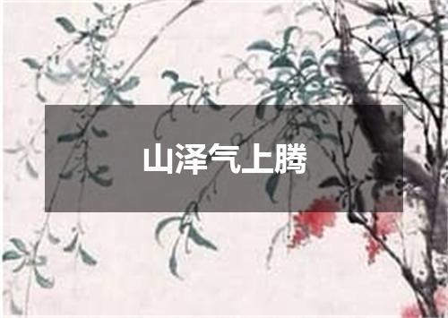 山泽气上腾