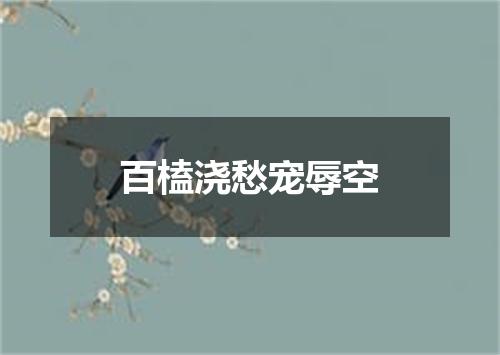 百榼浇愁宠辱空