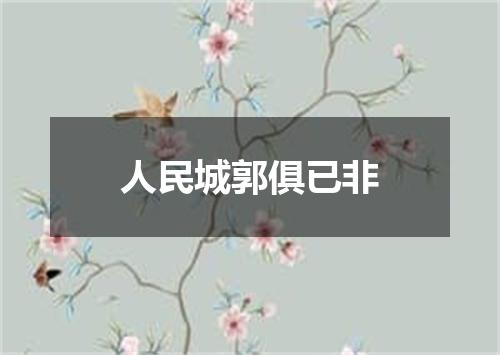人民城郭俱已非