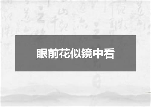 眼前花似镜中看