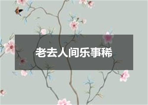 老去人间乐事稀