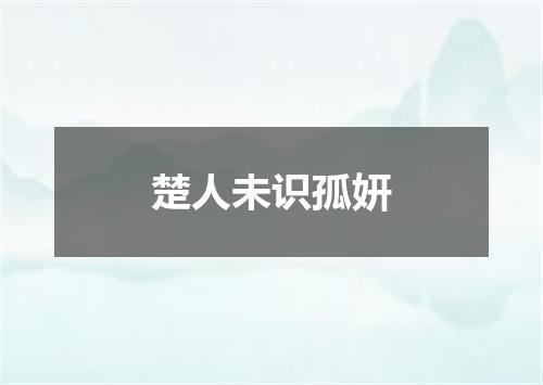 楚人未识孤妍