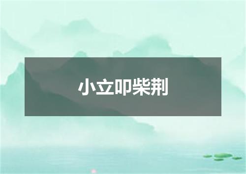 小立叩柴荆