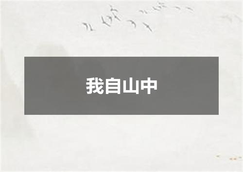 我自山中