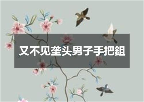 又不见垄头男子手把鉏