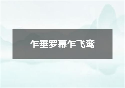 乍垂罗幕乍飞鸾