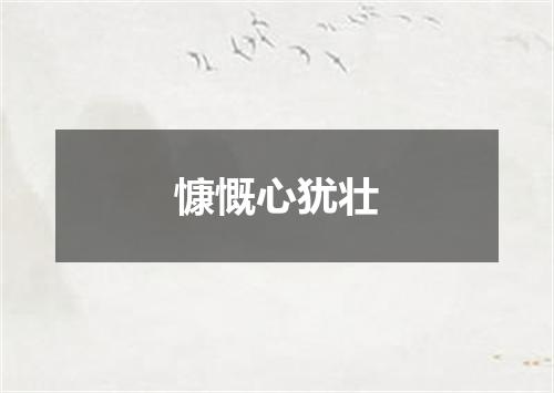慷慨心犹壮