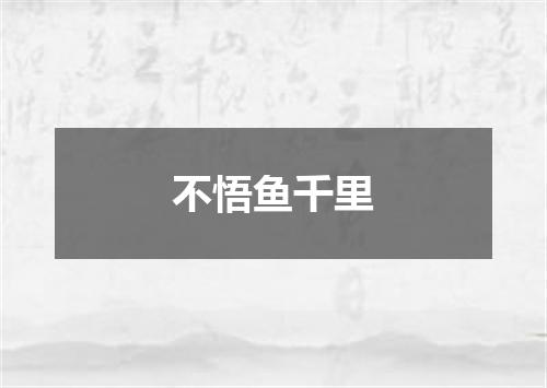 不悟鱼千里