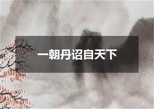 一朝丹诏自天下