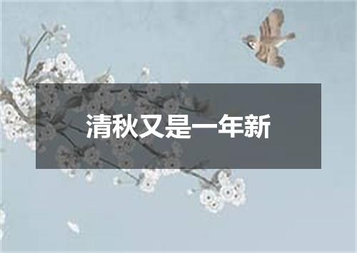 清秋又是一年新
