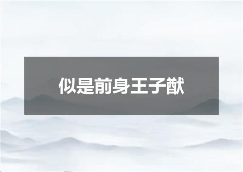 似是前身王子猷