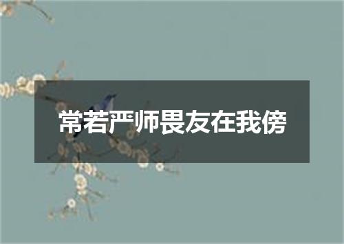 常若严师畏友在我傍