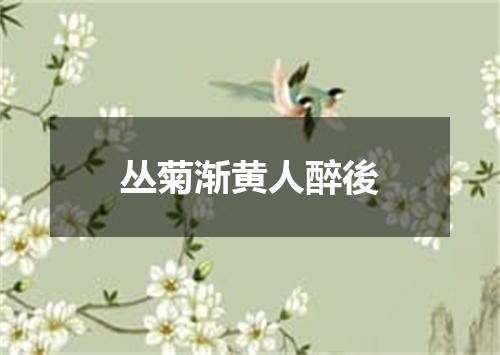 丛菊渐黄人醉後