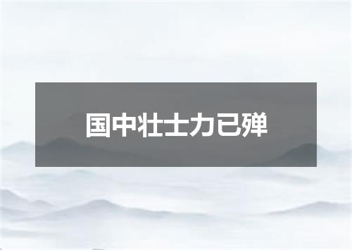 国中壮士力已殚