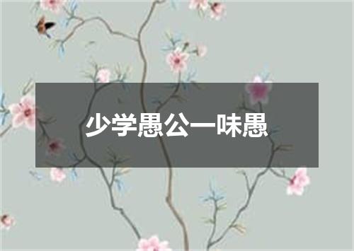 少学愚公一味愚