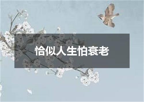 恰似人生怕衰老