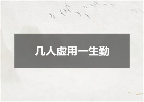 几人虚用一生勤