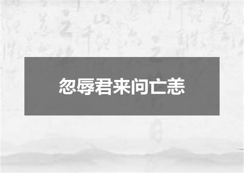 忽辱君来问亡恙