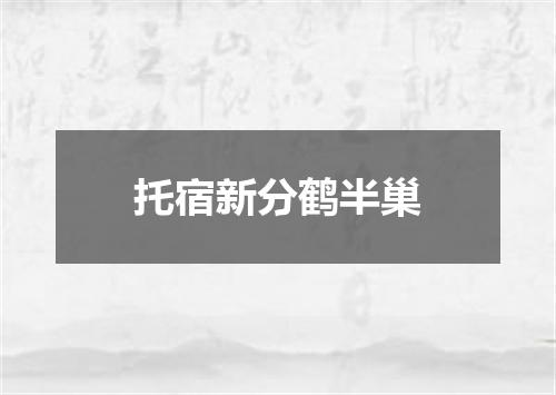 托宿新分鹤半巢