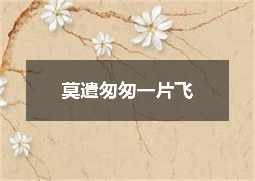 莫遣匆匆一片飞