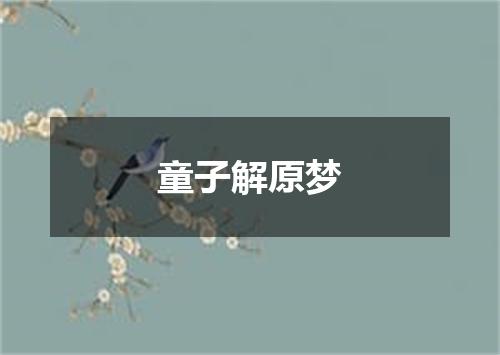 童子解原梦