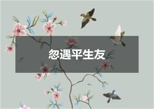 忽遇平生友