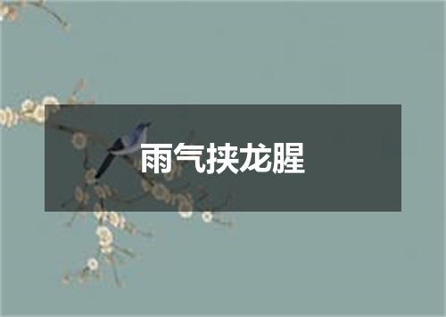 雨气挟龙腥