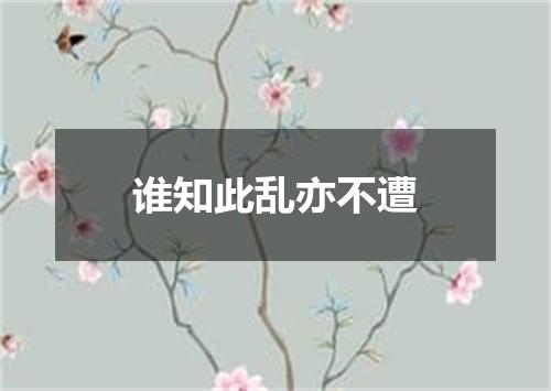 谁知此乱亦不遭