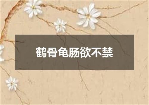 鹤骨龟肠欲不禁