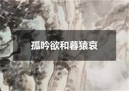 孤吟欲和暮猿哀