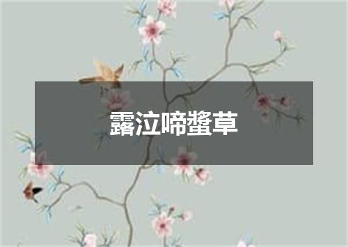 露泣啼螿草